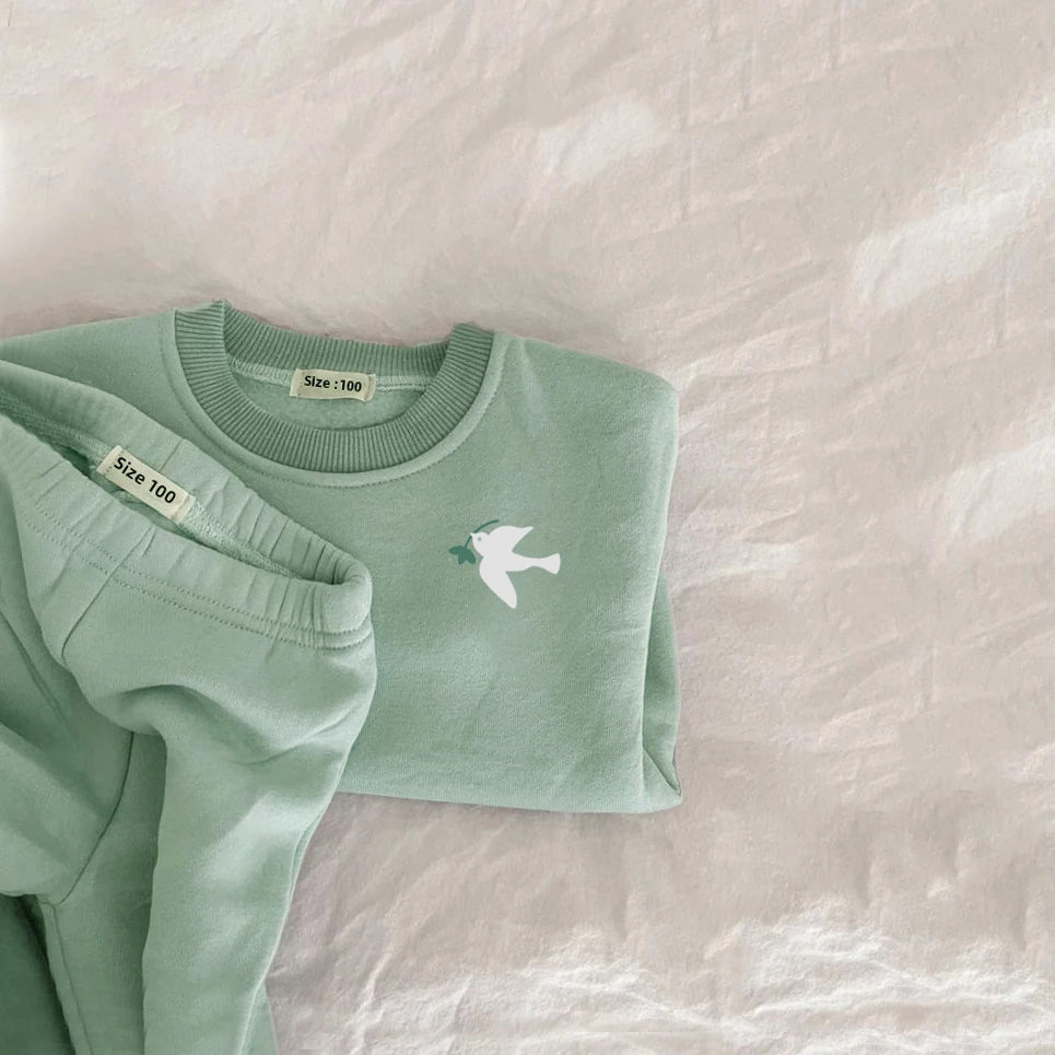 Cozy Fleece Cotton Pullover & Matching Pants Set
