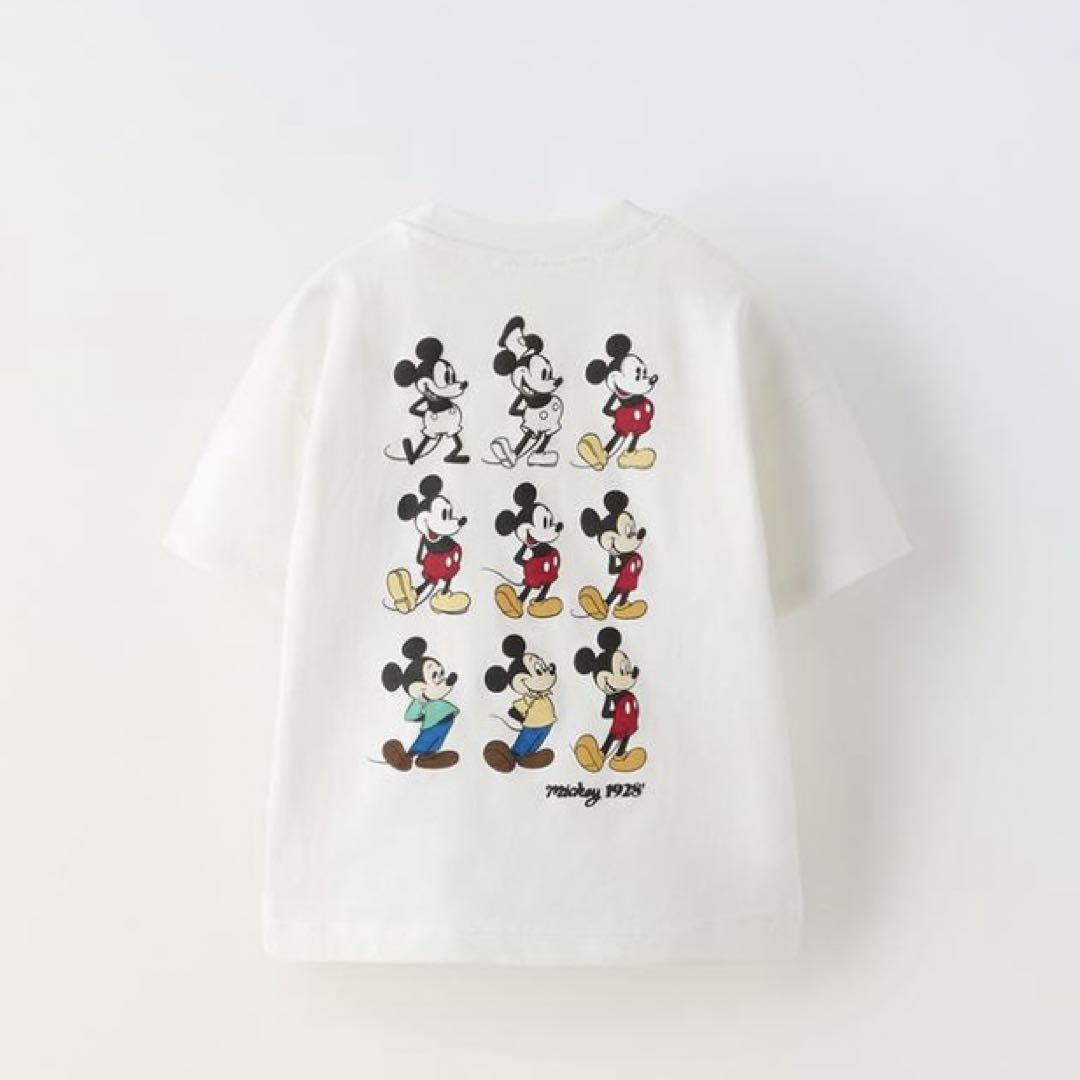 100% Cotton T-Shirt