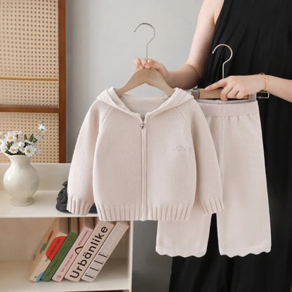 Knitted Hooded Sweatshirt & Pants 2-piece Set