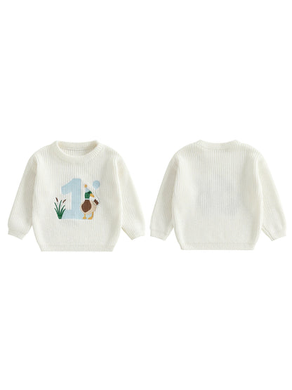 Baby Boy Birthday Sweater Casual Duck Letter Embroidery