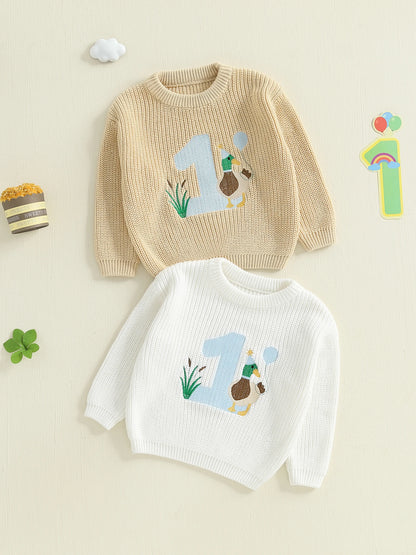 Baby Boy Birthday Sweater Casual Duck Letter Embroidery