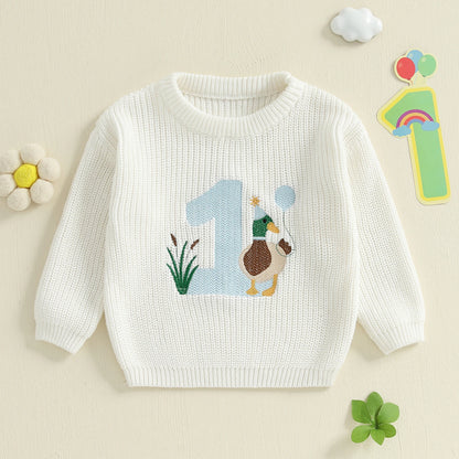 Baby Boy Birthday Sweater Casual Duck Letter Embroidery