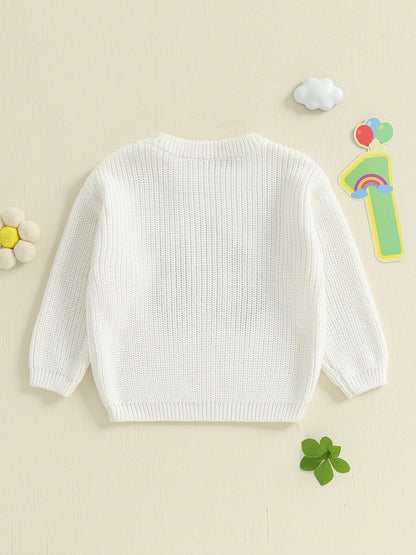 Baby Boy Birthday Sweater Casual Duck Letter Embroidery