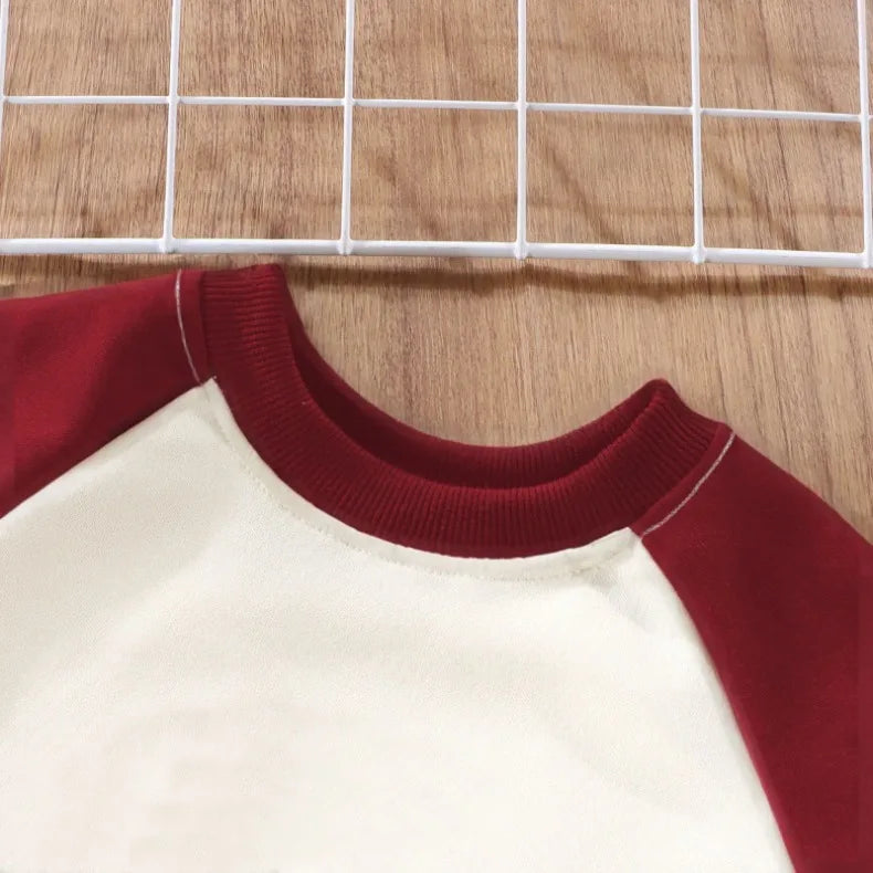 Paw Patrol Pullover Hoodie & Matching Pants Set