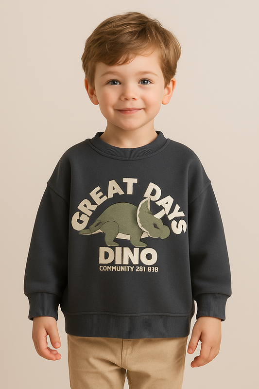 Dino Comfortable Sweatshirt With Loose Fit